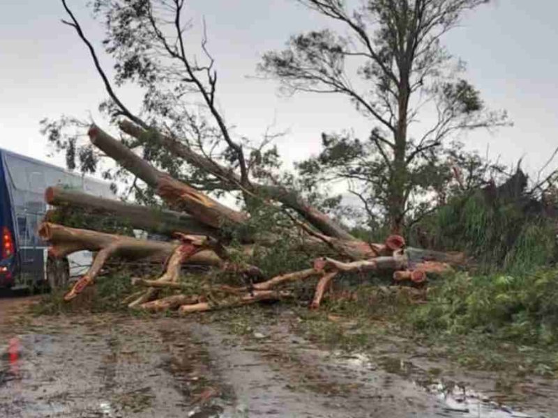 General Obligado: un temporal arrasó con árboles, techos y postes de luz