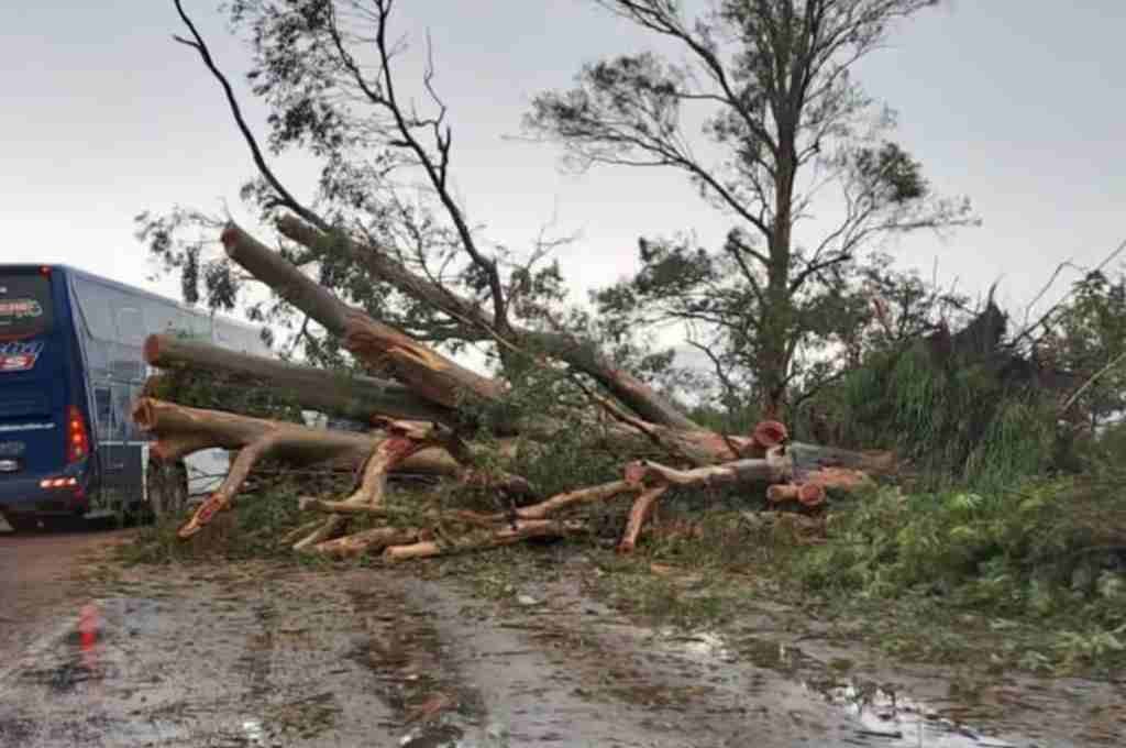 General Obligado: un temporal arrasó con árboles, techos y postes de luz