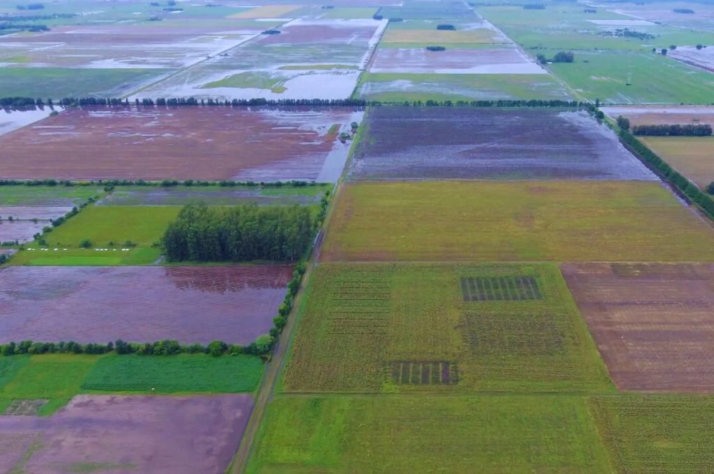 Acciones para sobrellevar los excesos hídricos