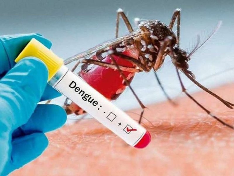 Rufino: un caso autóctono de dengue se originó por un vecino ya infectado en Chaco