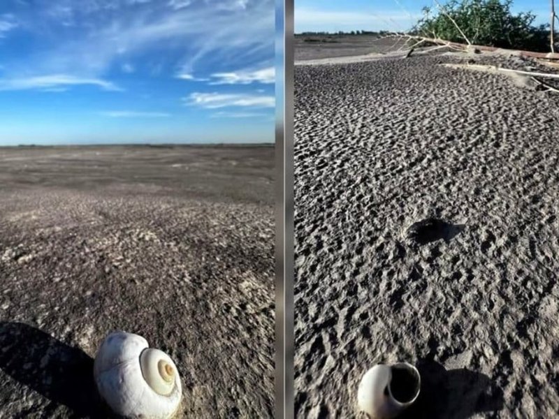 Desafíos en las aguas: la situación de las lagunas del sur santafesino pone en riesgo la diversidad de ecosistemas