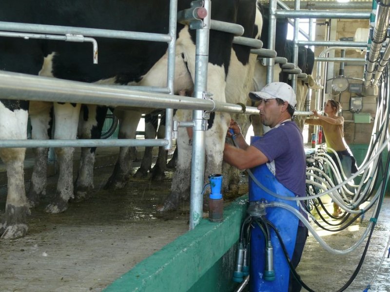 Un problema estructural de la lechería
