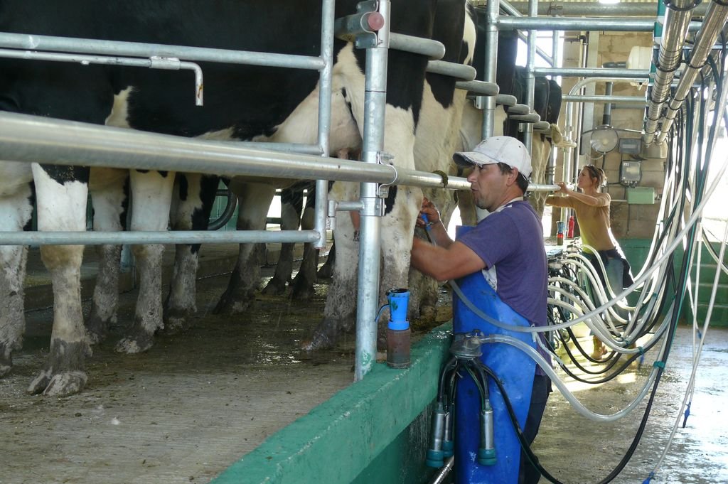 Un problema estructural de la lechería