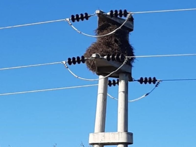 Vecinos de Alejandra exigen restablecimiento del servicio eléctrico adecuado y sostenible