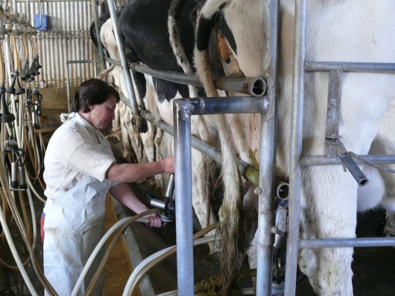El gobierno nacional implementaría créditos tamberos a «valor leche»