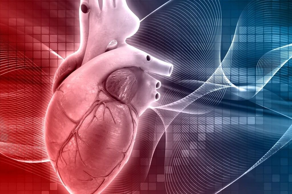IA, genoma, corazón: científicos santafesinos participaron de un estudio de relevancia mundial