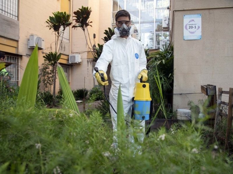 Análisis de las autoridades sanitarias: «El dengue llegó para quedarse»