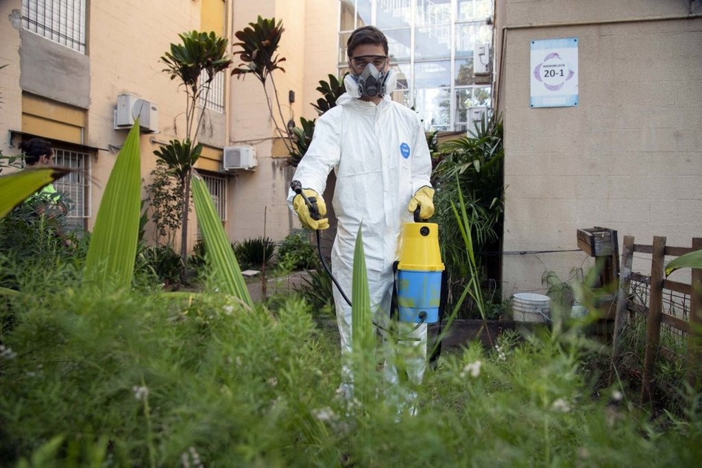 Análisis de las autoridades sanitarias: «El dengue llegó para quedarse»
