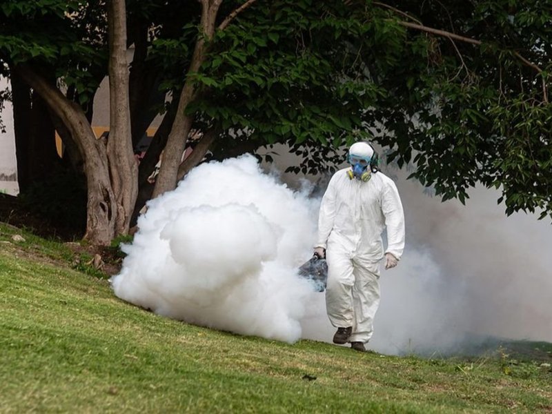 Rosario: refuerzan los operativos de fumigación en espacios verdes