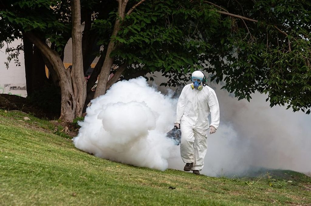Rosario: refuerzan los operativos de fumigación en espacios verdes