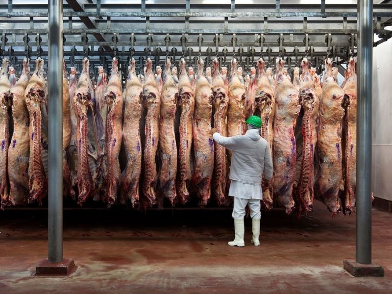 Los frigoríficos ya no informarán precios a Bioeconomía