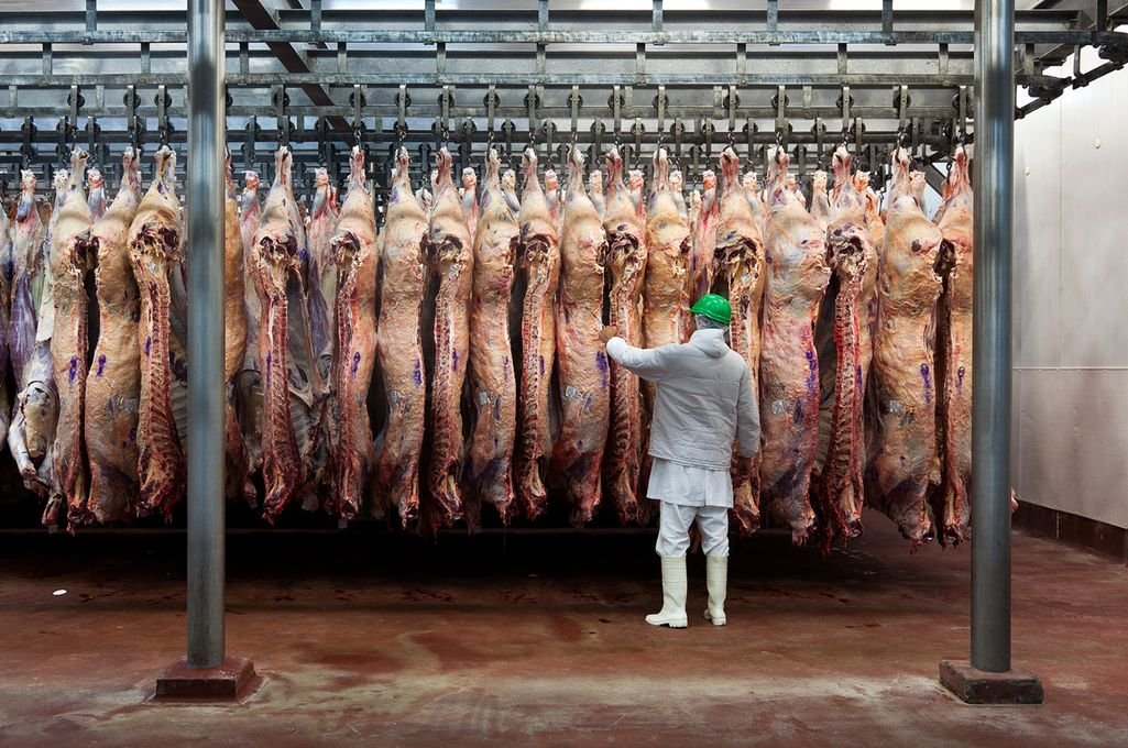 Los frigoríficos ya no informarán precios a Bioeconomía