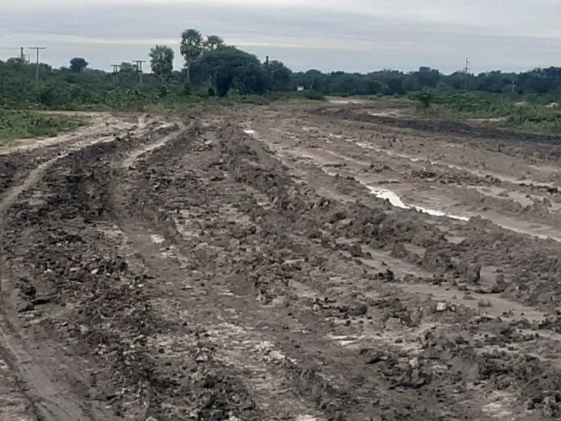 La Rural reclamó respuestas ante un problema crónico