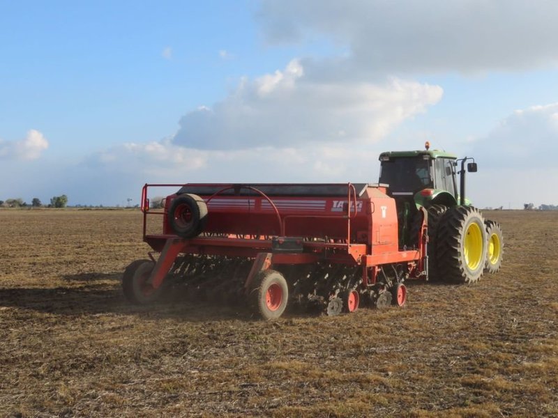 Subirá el área sembrada con trigo
