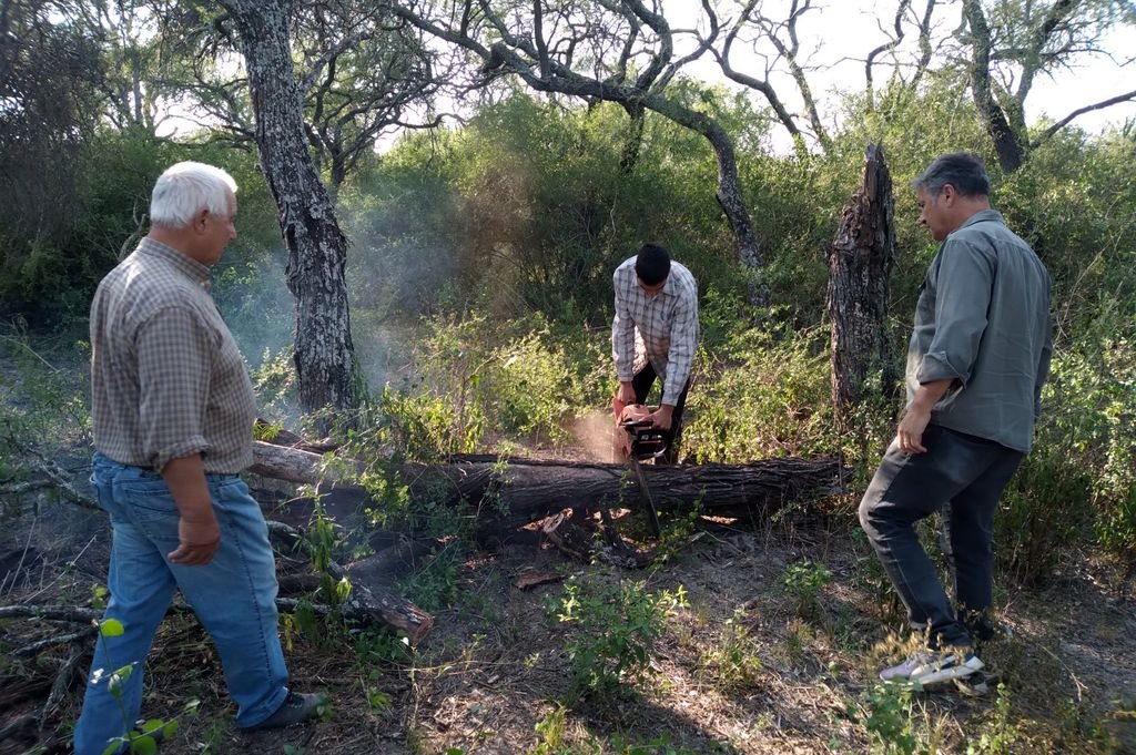 No llegan los fondos de la Ley de Bosques y se desalientan los productores