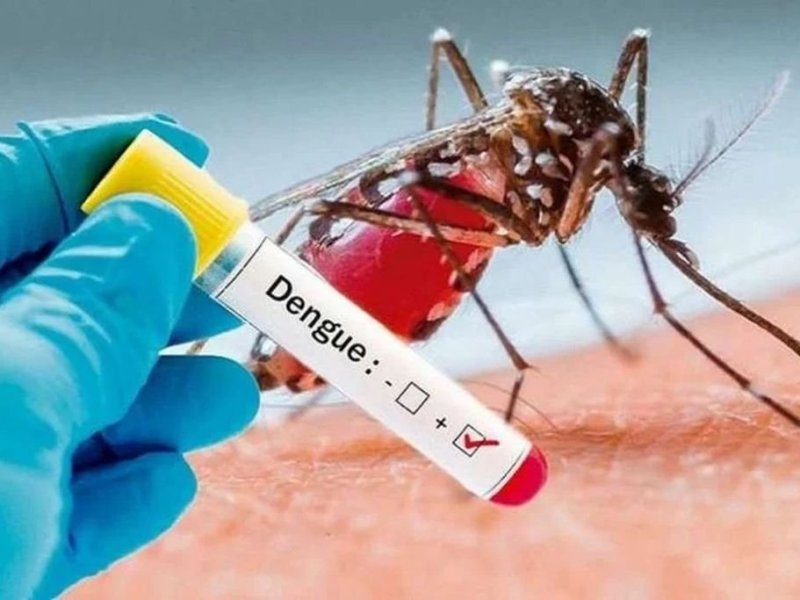Temperatura y precipitaciones, claves en la proliferación de dengue