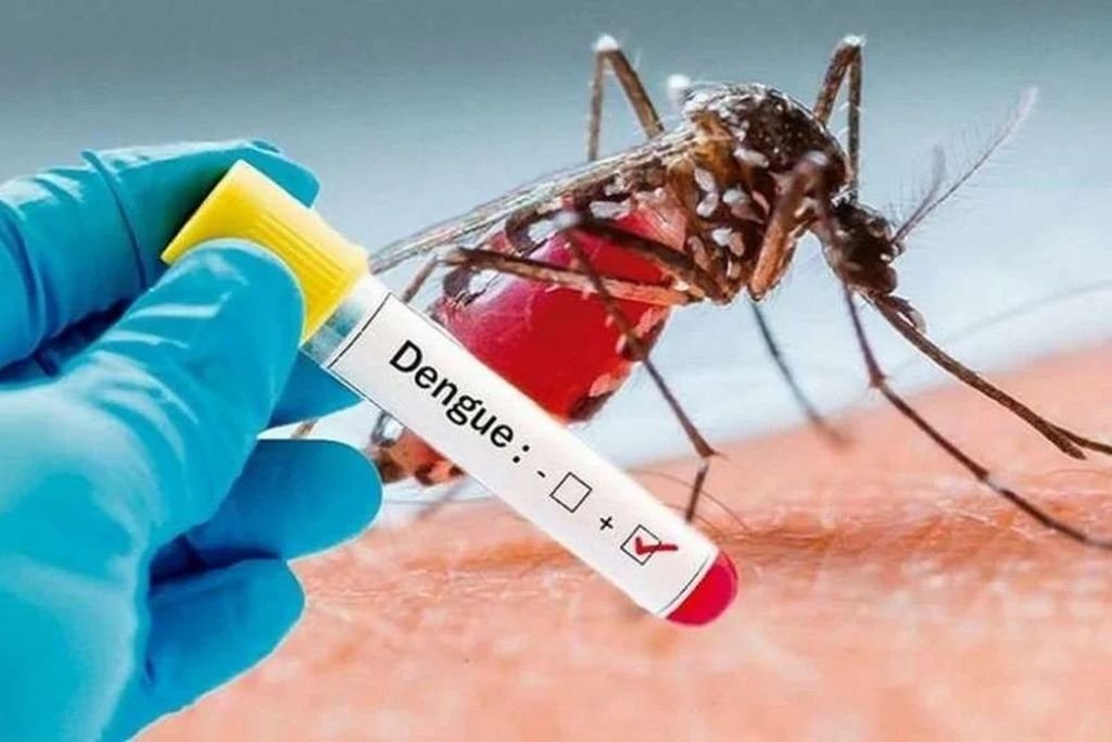 Temperatura y precipitaciones, claves en la proliferación de dengue