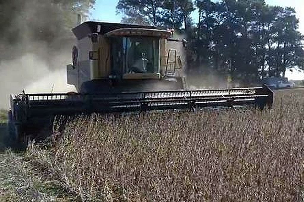 La sequía quedó atras: se duplicó la producción de soja en el centro norte provincial