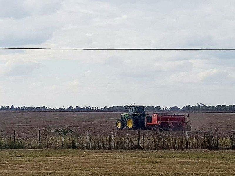 Avanca la siembra de trigo y podría completarse todo lo proyectado