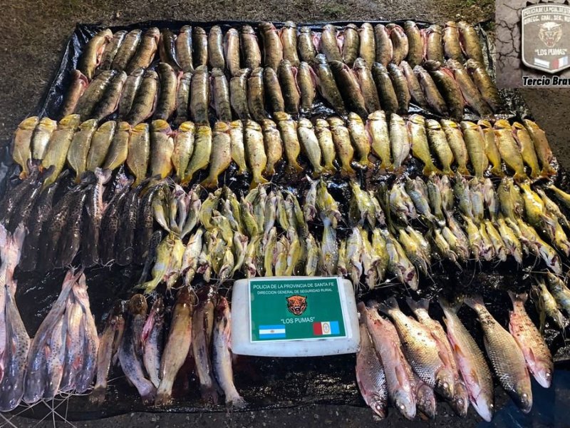 Múltiples operativos contra caza y pesca ilegal