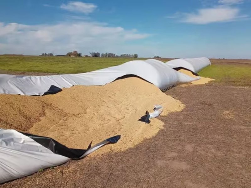 Chovet: robaron más de 20 millones de pesos en soja de un campo