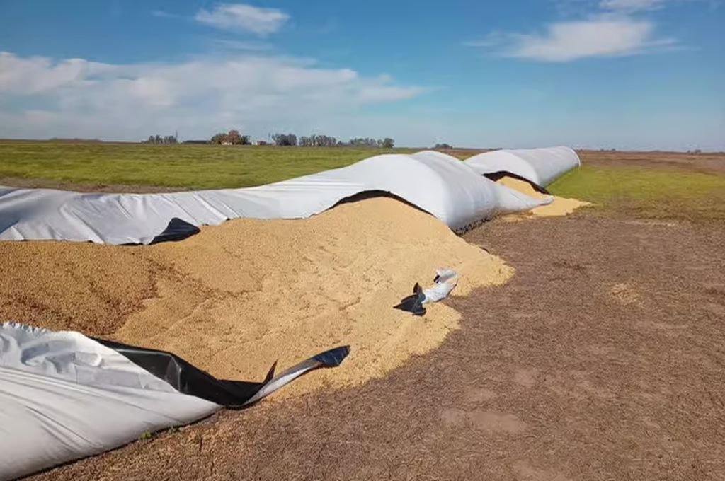 Chovet: robaron más de 20 millones de pesos en soja de un campo