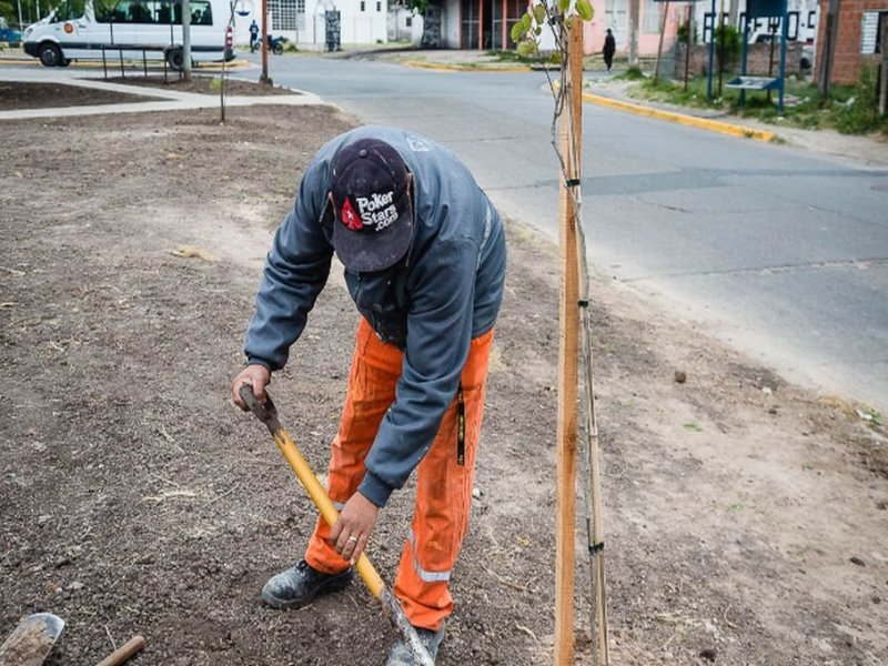 Plantarán 500 nuevos árboles en Paraná
