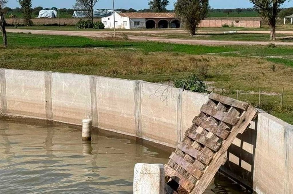 Soluciones que evitan el ahogamiento de fauna en tanques australianos