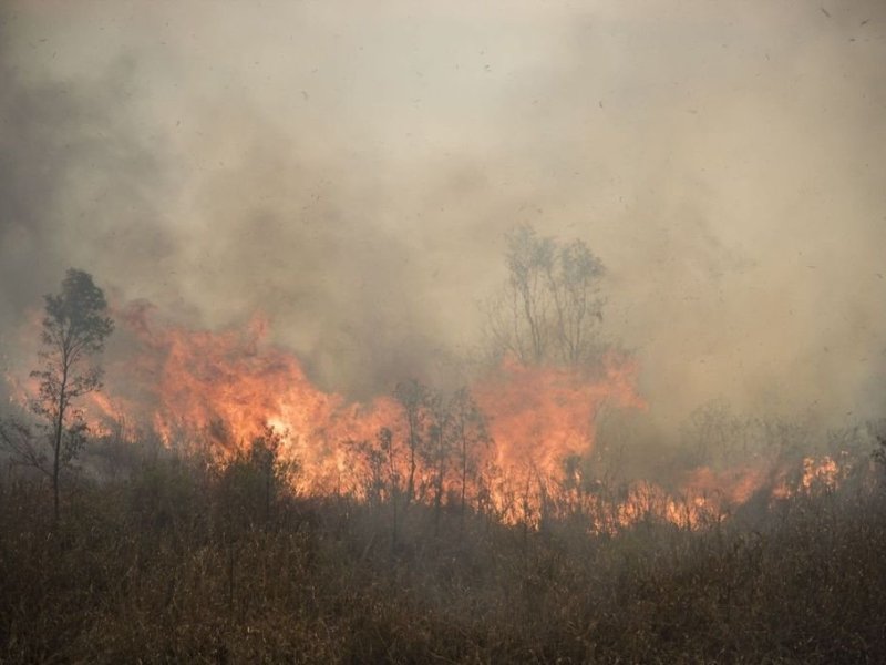 Incendios en las islas, un problema que pareciera no tener fin