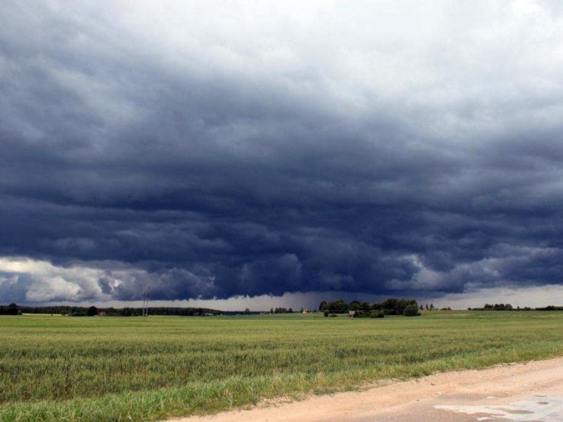El SMN elevó a naranja el alerta por tormentas para 10 departamentos de Entre Ríos este fin de semana