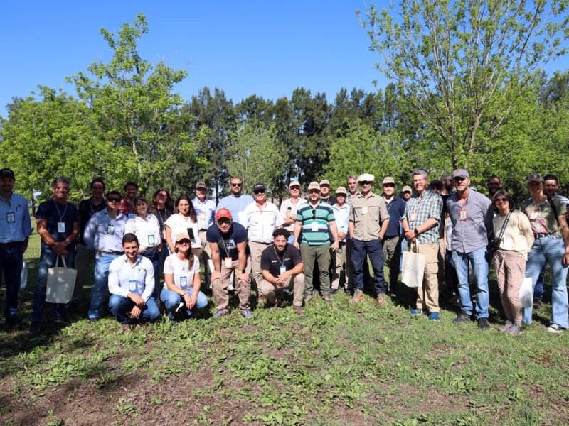 Nueces nuestras: Santa Fe, capital nacional del pecán