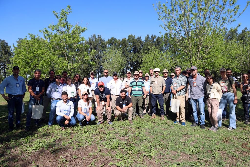 Nueces nuestras: Santa Fe, capital nacional del pecán