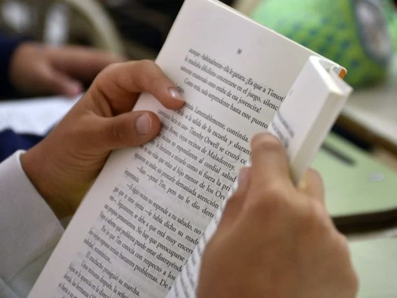 Prueba de lectura en 2° grado: cómo les fue a los alumnos santafesinos