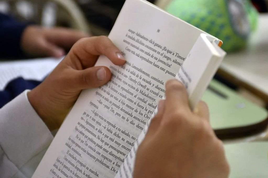 Prueba de lectura en 2° grado: cómo les fue a los alumnos santafesinos