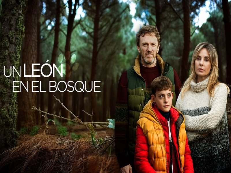 La dinámica familiar atravesada por la llegada de un diagnóstico