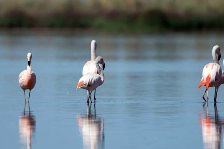 Lagunas del sur santafesino se preparan con expectativas para Semana Santa