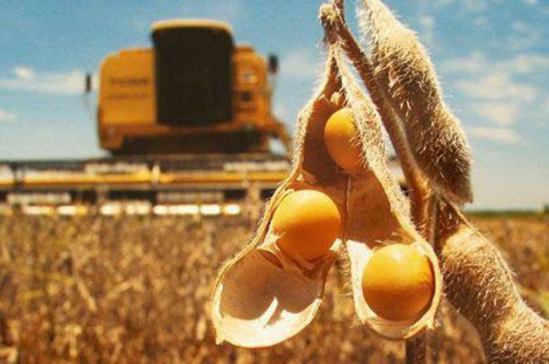 Entre Ríos: comenzó la cosecha de soja de primera