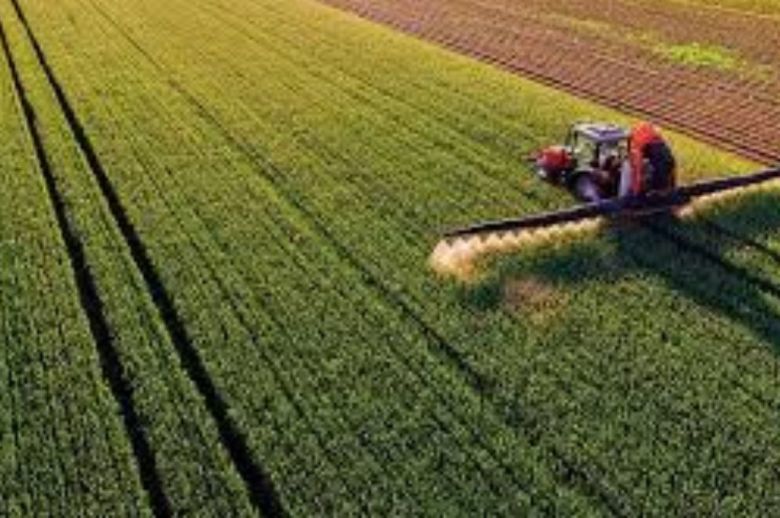 Para la campaña 2024/25, estiman que el ingreso no percibido por los productores entrerrianos sería de U0 millones