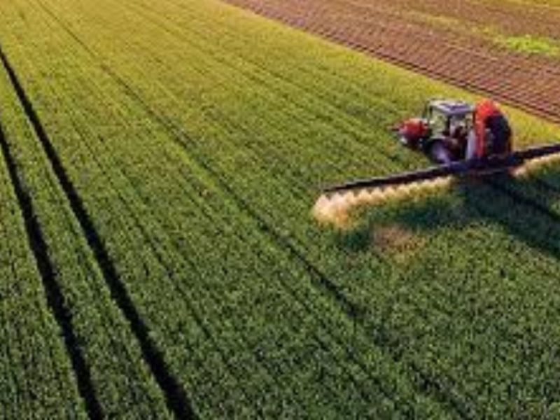 Para la campaña 2024/25, estiman que el ingreso no percibido por los productores entrerrianos sería de U0 millones