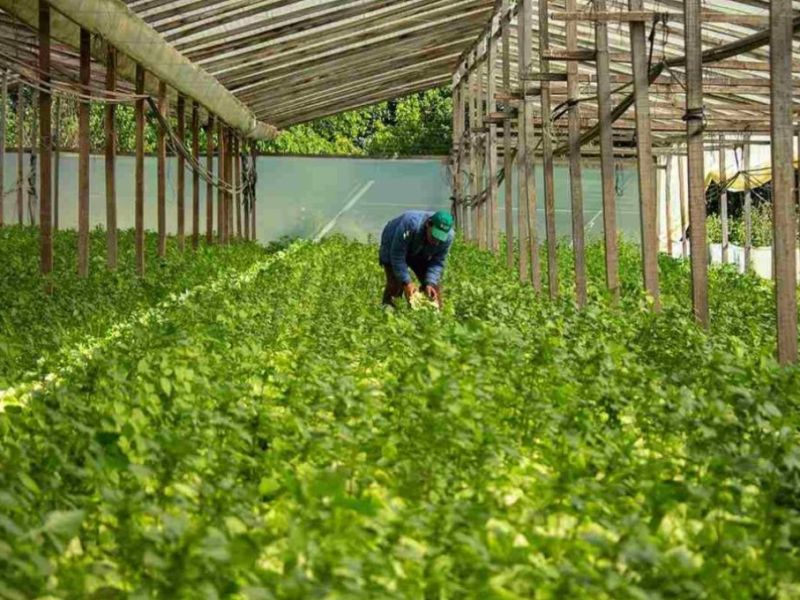 Durante un encuentro en Villaguay, se analizó el potencial de producción orgánica en Entre Ríos