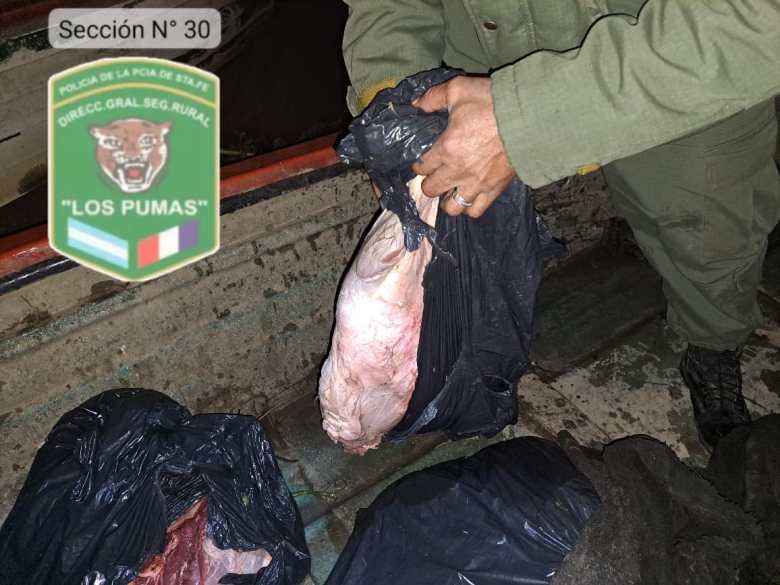Un individuo fue sorprendido con más de 60 kilos de carne faenada proveniente de las islas de Coronda