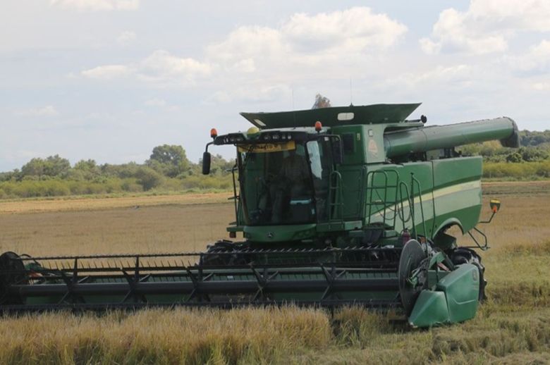 Productores arroceros, preocupados por la falta de rentabilidad y los altos costos de producción