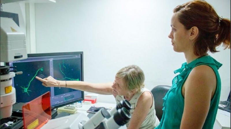 Investigadores de Conicet Rosario hallan una clave que aumentaría sobrevida al Parkinson