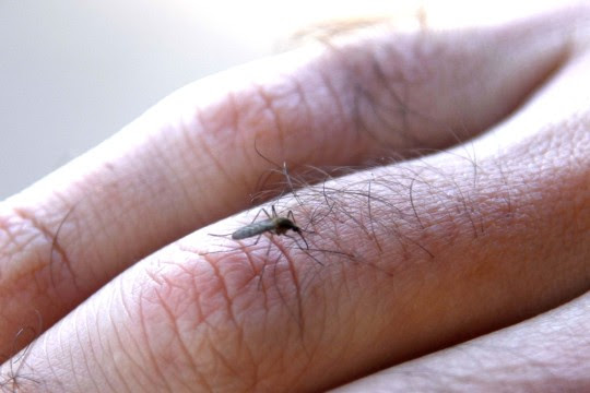 Cuál es la situación epidemiológica en Rosario
