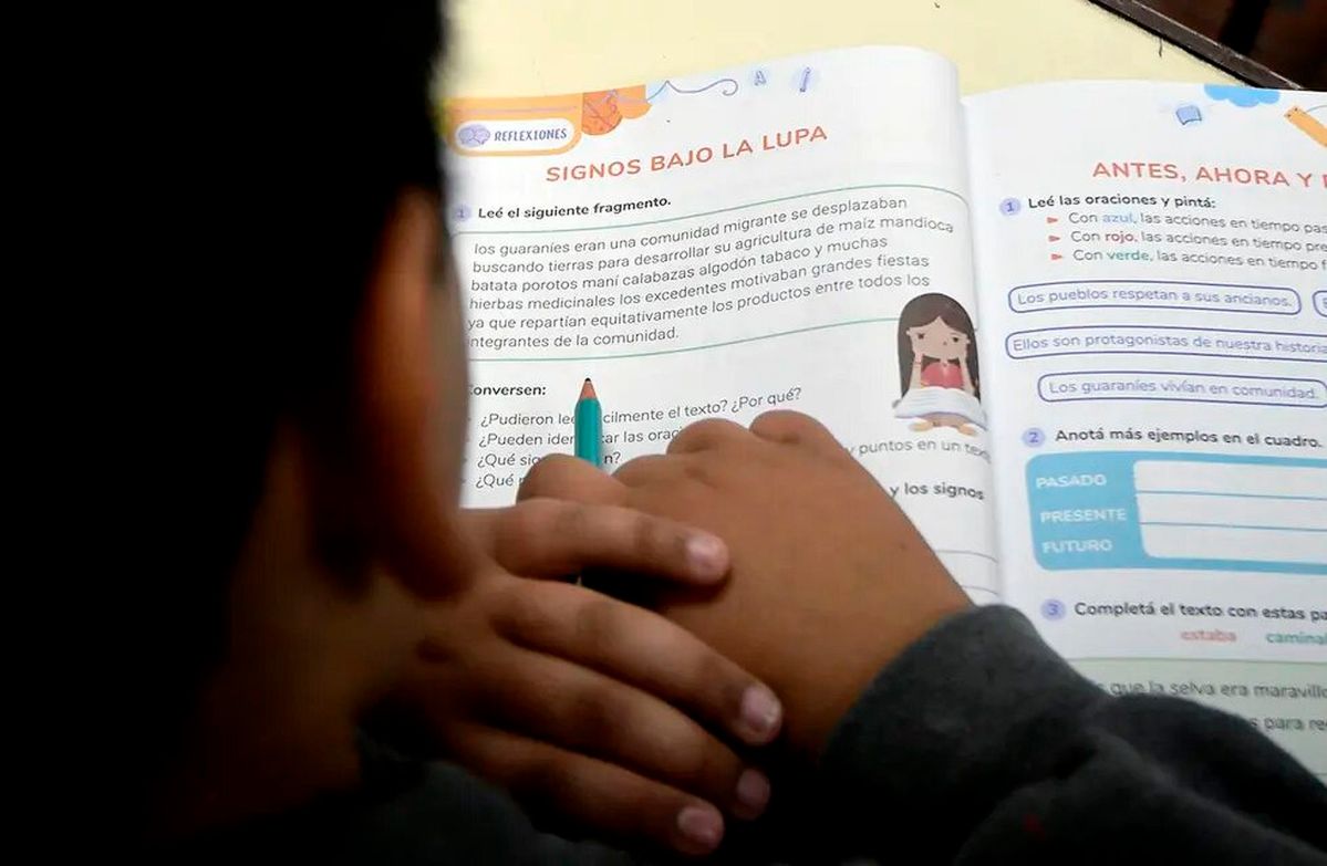 «Catástrofe educativa»: sólo 1 de cada 4 alumnos de primaria lee bien 