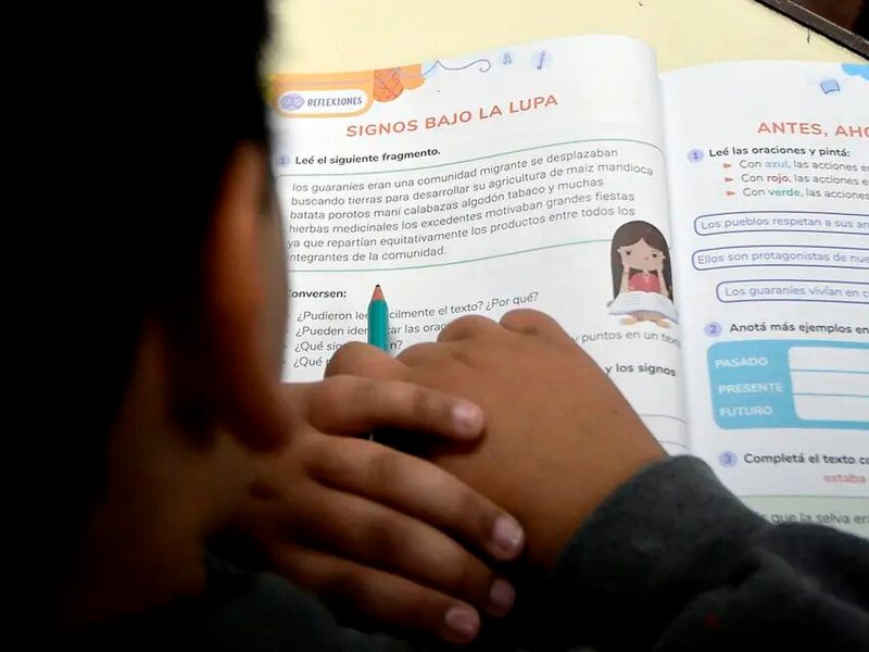 «Catástrofe educativa»: sólo 1 de cada 4 alumnos de primaria lee bien 