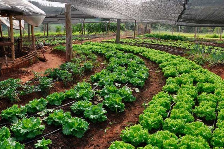 Entre Ríos fortalece sus políticas públicas para el desarrollo de la producción orgánica