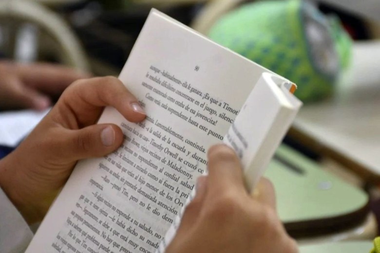 Alfabetización en 3er grado: habrá tutorías personalizadas de 20 minutos para 4.500 chicos de Santa Fe