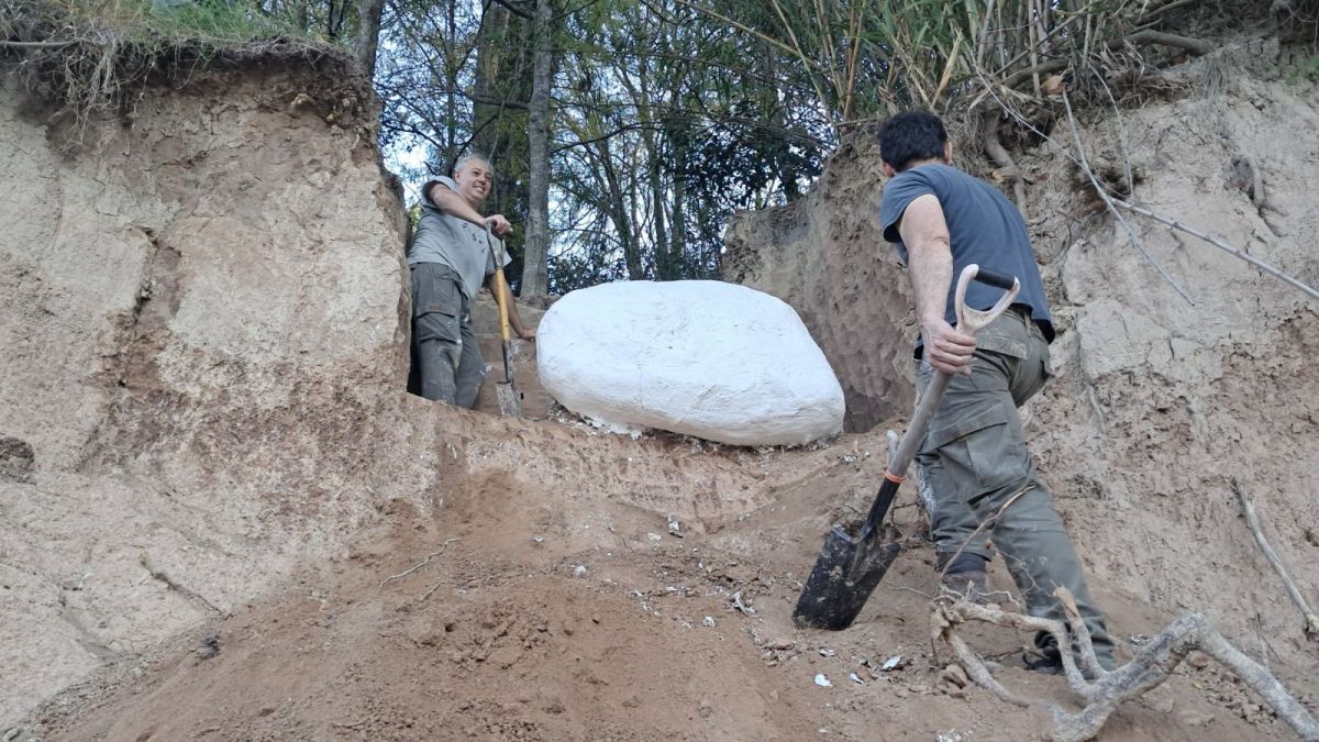 Arroyo Pavón: realizan importante rescate paleontológico