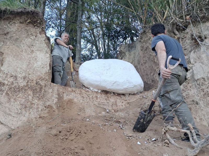 Arroyo Pavón: realizan importante rescate paleontológico